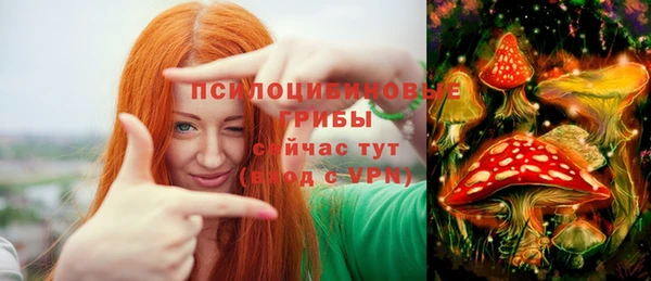 спайс Абаза