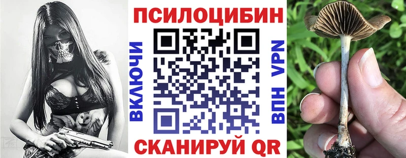 Псилоцибиновые грибы MAGIC MUSHROOMS  Лебедянь 